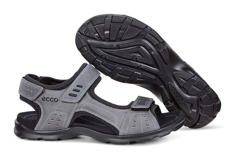 ecco soft 7 vs soft 8