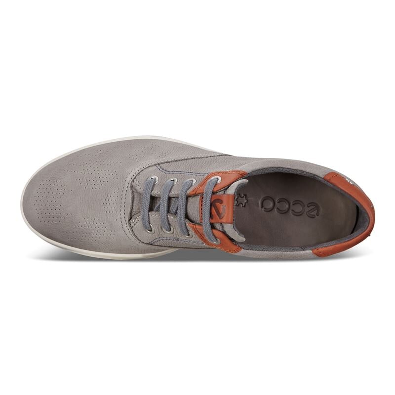 ecco collin grey